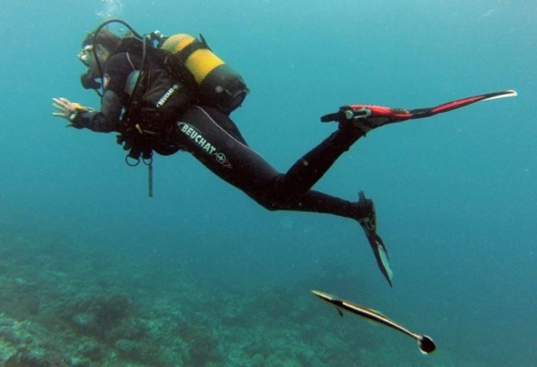 La fondatrice de Malle d'Enfer était auparavant monitrice de plongée sous marine. Un autre métier de liberté et d'aventure.